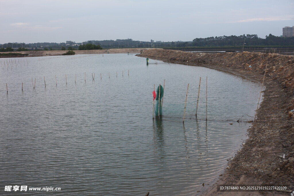 岸边水域中的彩色标识物