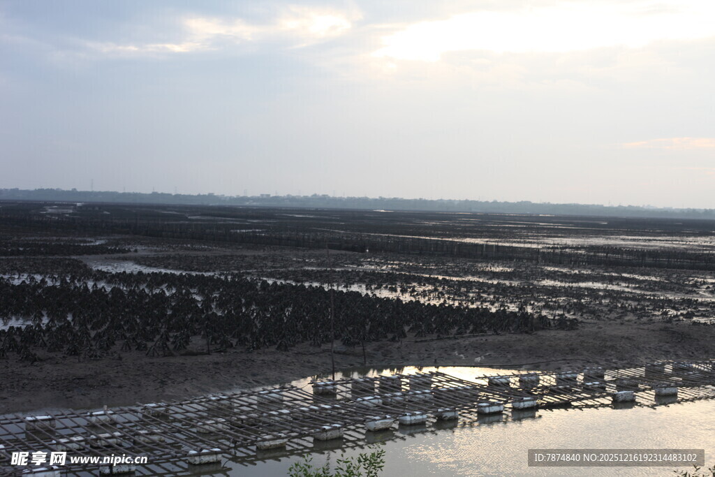 俯瞰水域旁的建筑景观