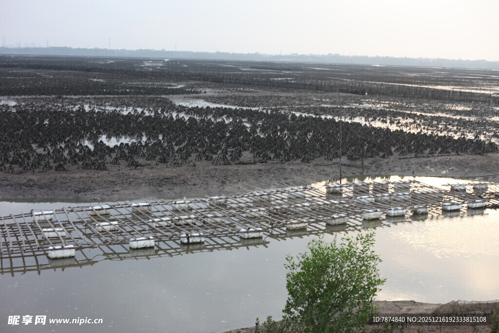 俯瞰河畔停泊的船只景观