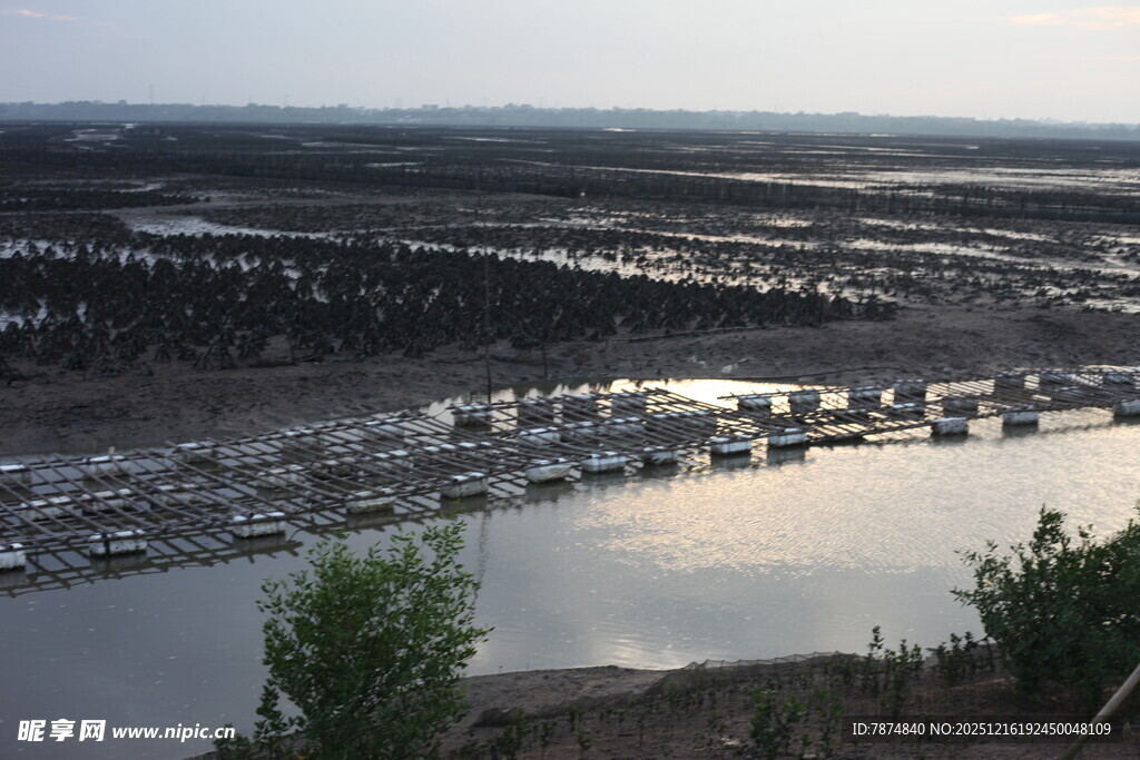 黄昏下的宁静河岸风光