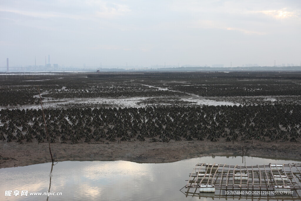 俯瞰广袤农田与水域景观