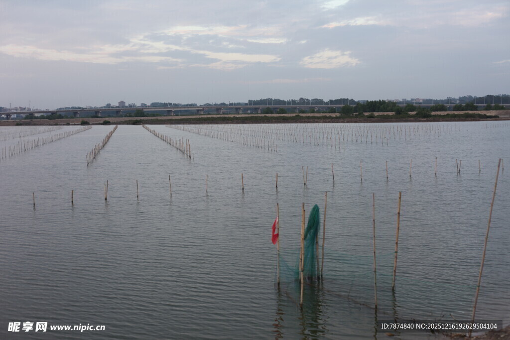 水域中的养殖设施景观