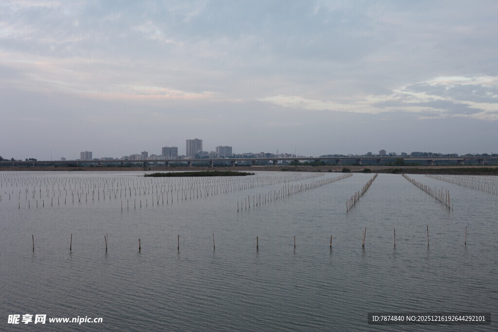 广阔水田与远处城市景观