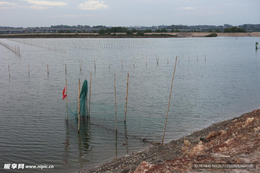 水域中的标识柱场景