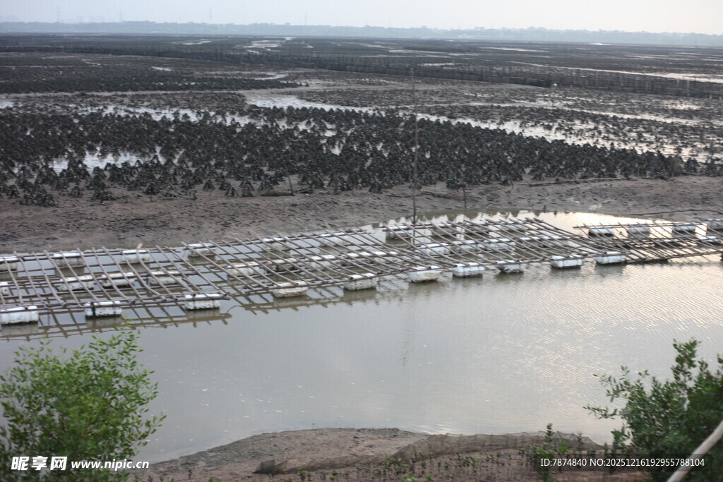 河畔停泊的众多船只景观