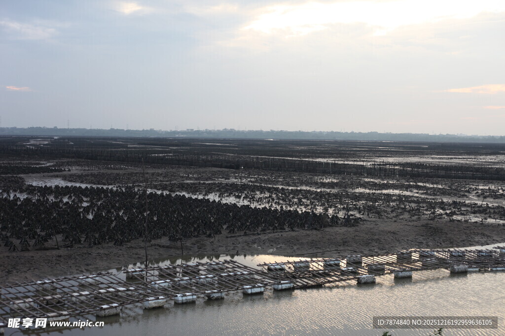 俯瞰水边城镇景观