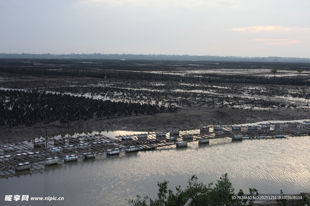 河畔船只与植被景观