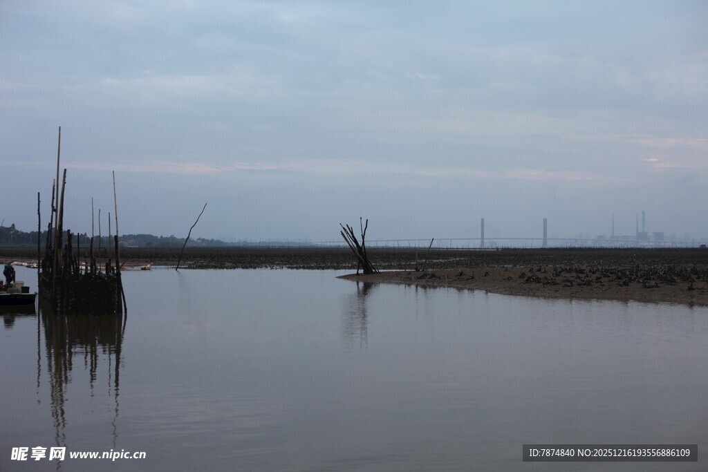 宁静河畔的船只景象