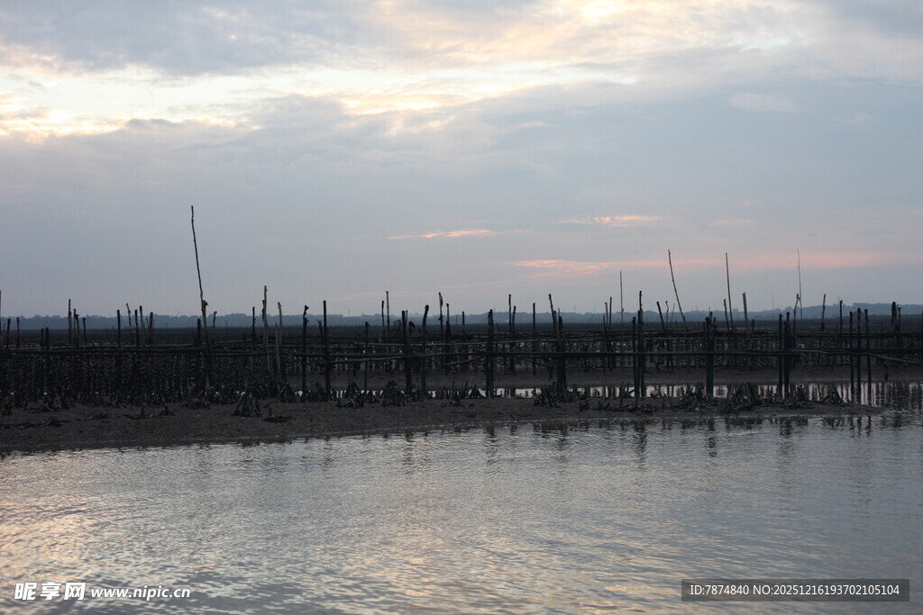 黄昏下的水边林立景象
