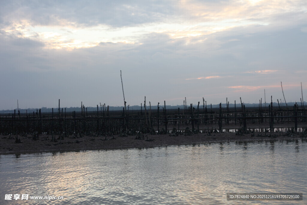 黄昏下的宁静水边景象