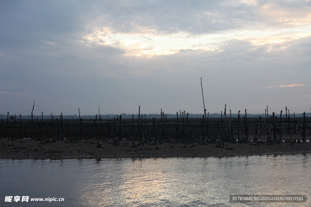 黄昏下的水上养殖场景