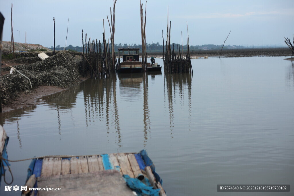 宁静水边停泊的船只景象