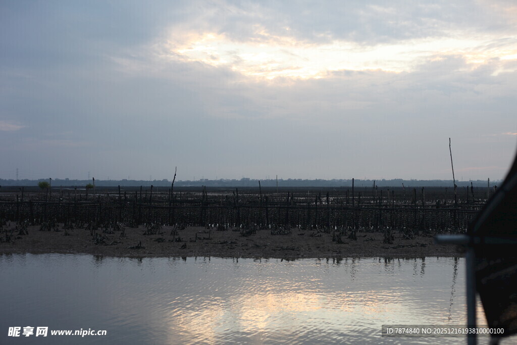 黄昏下宁静的水边景致