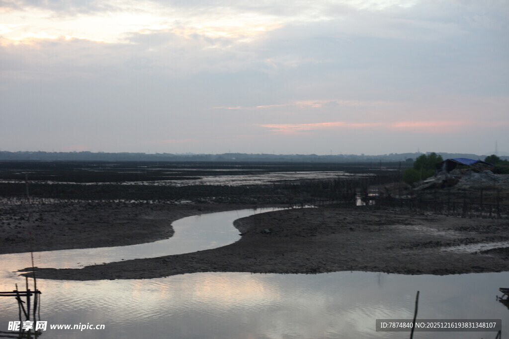 黄昏下的湿地河流景象