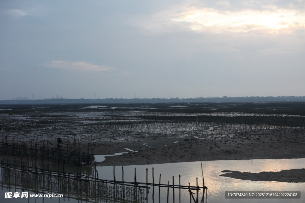黄昏下的湿地与围栏景观