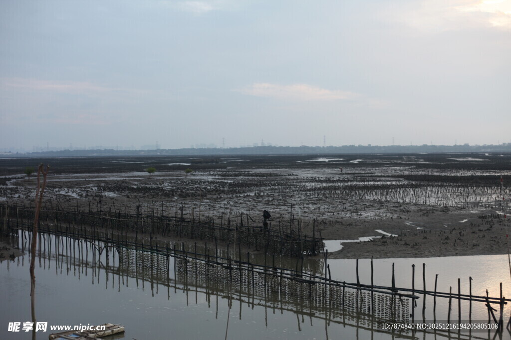 湿地景观水域与围栏景象