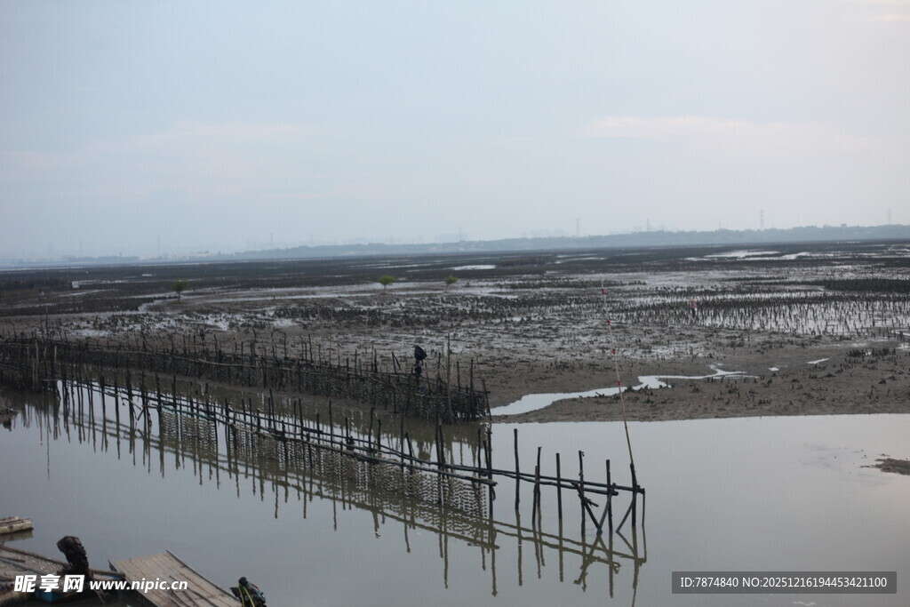 海边滩涂的简易围栏景观