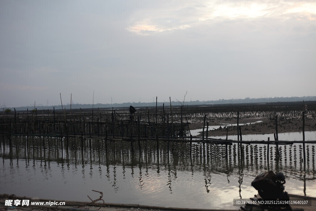 水上养殖场景