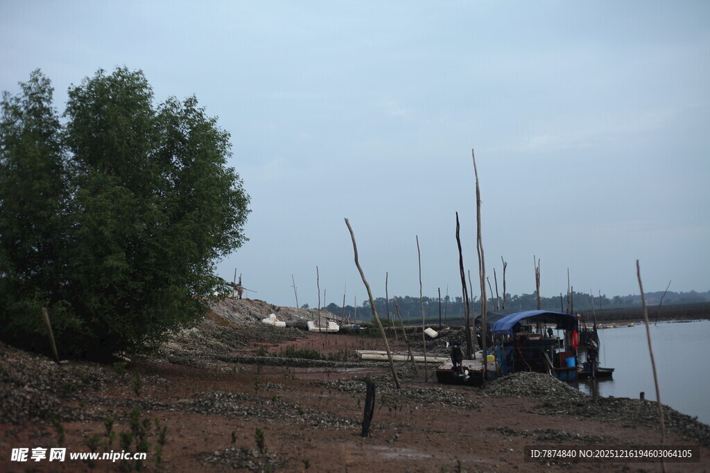岸边停泊船只的宁静景象