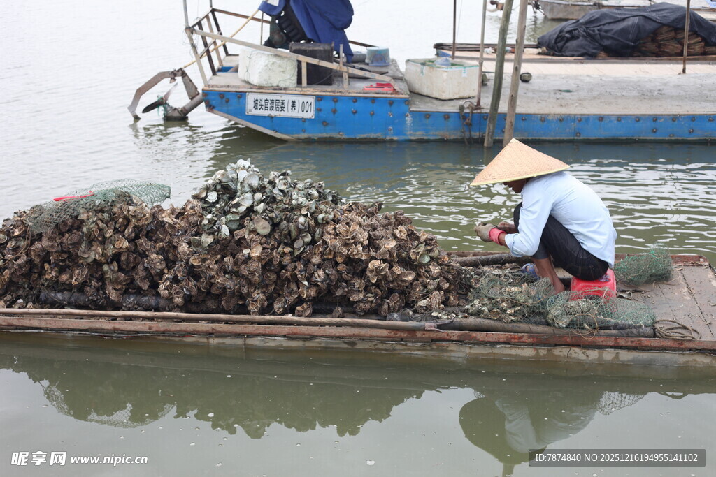 渔民船上忙碌分拣海产品