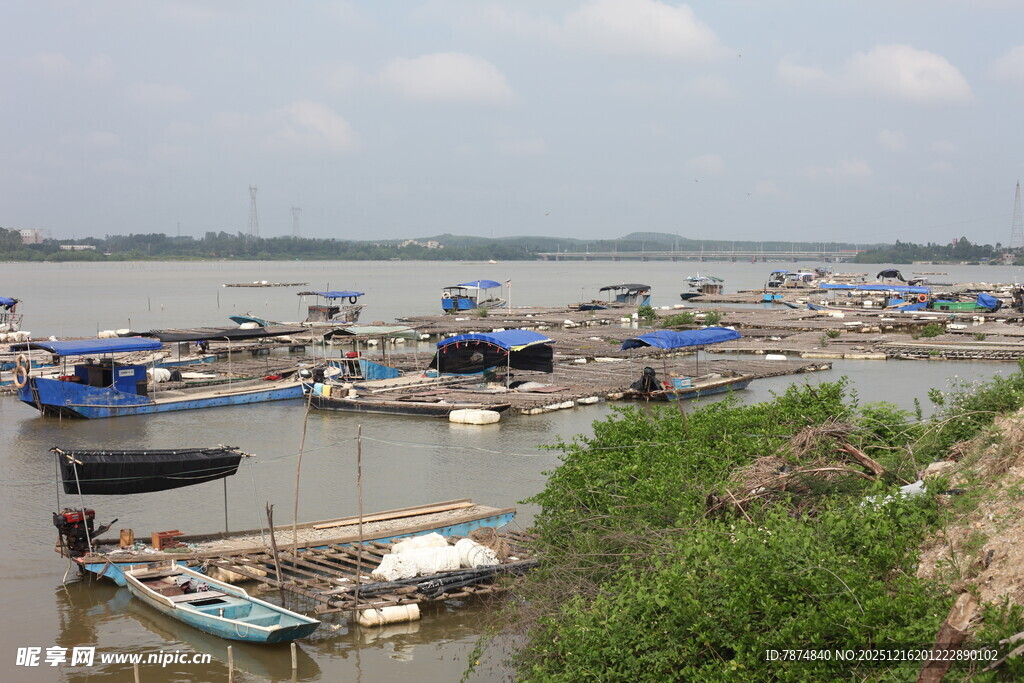 江边停泊的众多渔船