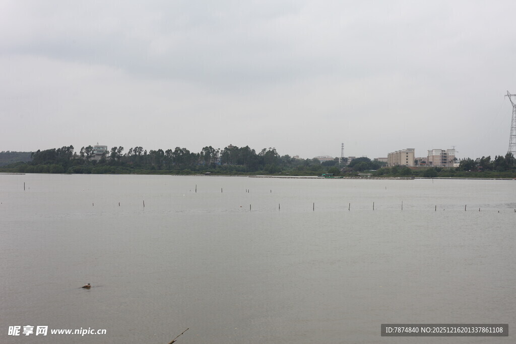 平静湖面与远处树木景观