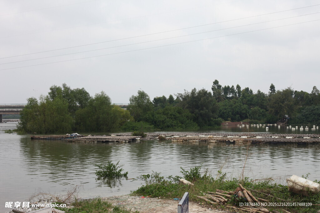 湖畔风光绿树环绕水域