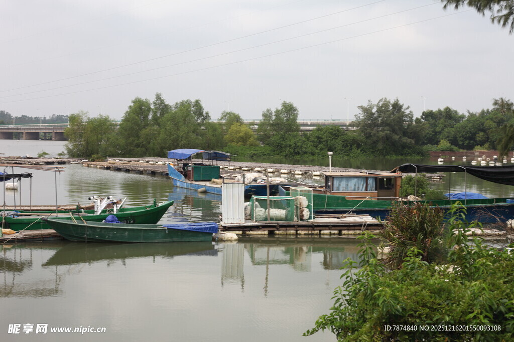 河畔停泊的多彩船只