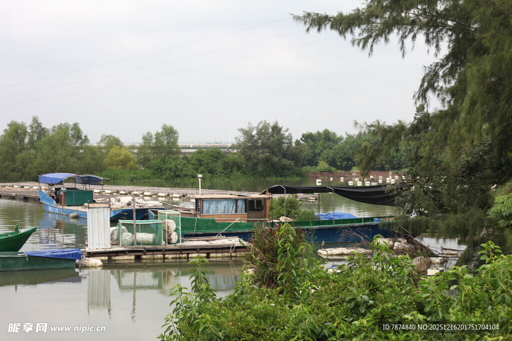 河畔停泊的多彩船只