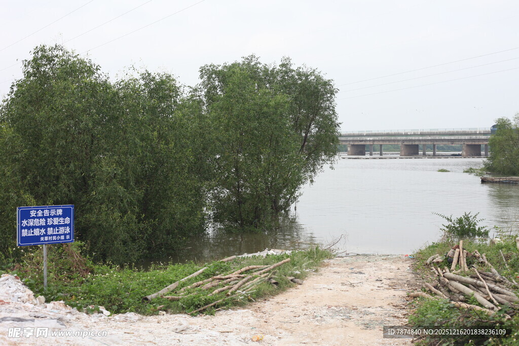 洪水淹没岸边树木场景