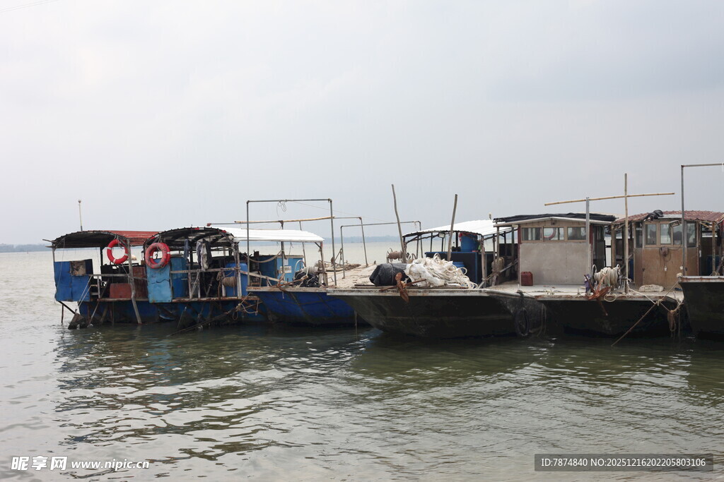 停靠在水边的多艘船只