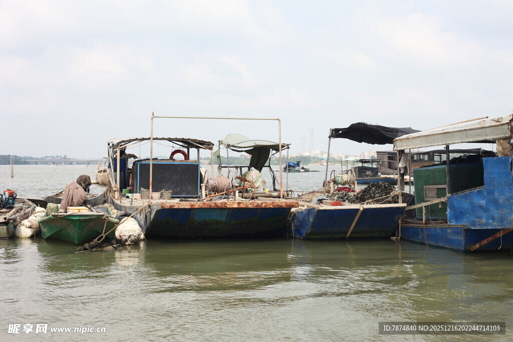 停泊在水边的多艘渔船
