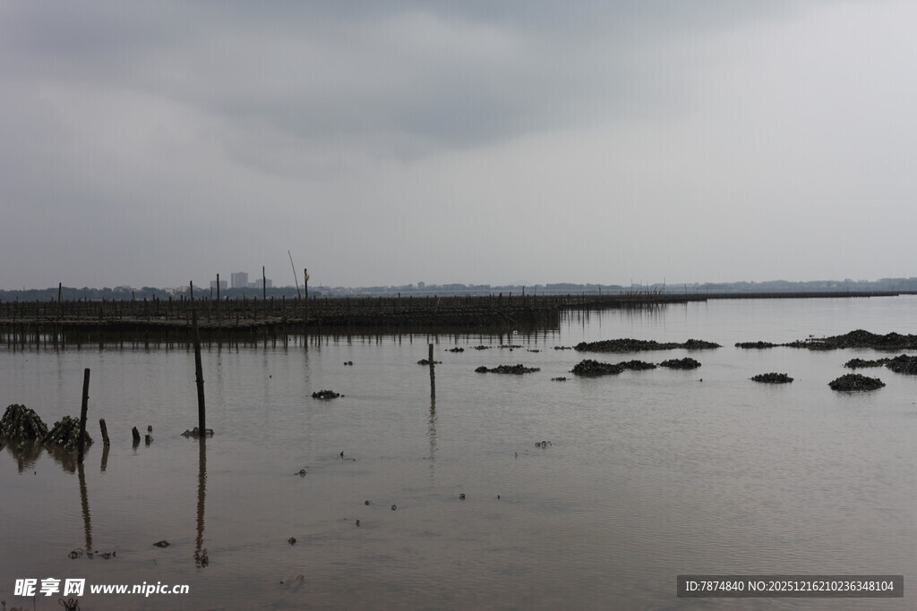 阴天的滩涂景象