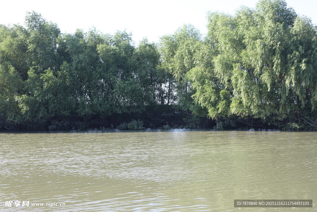 河畔绿树环绕的宁静水域