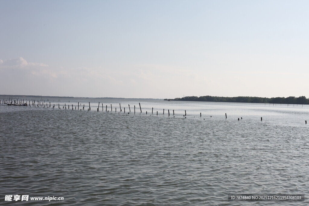 海上鸟群栖息于长排设施