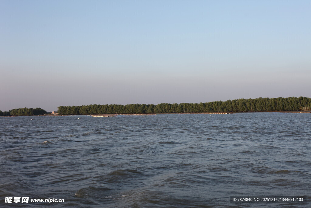 广阔水域边的葱郁植被