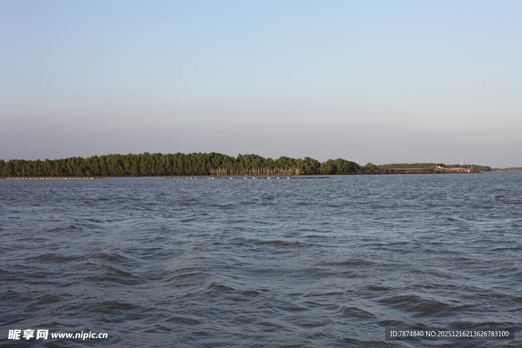 宁静湖面与远处植被景观