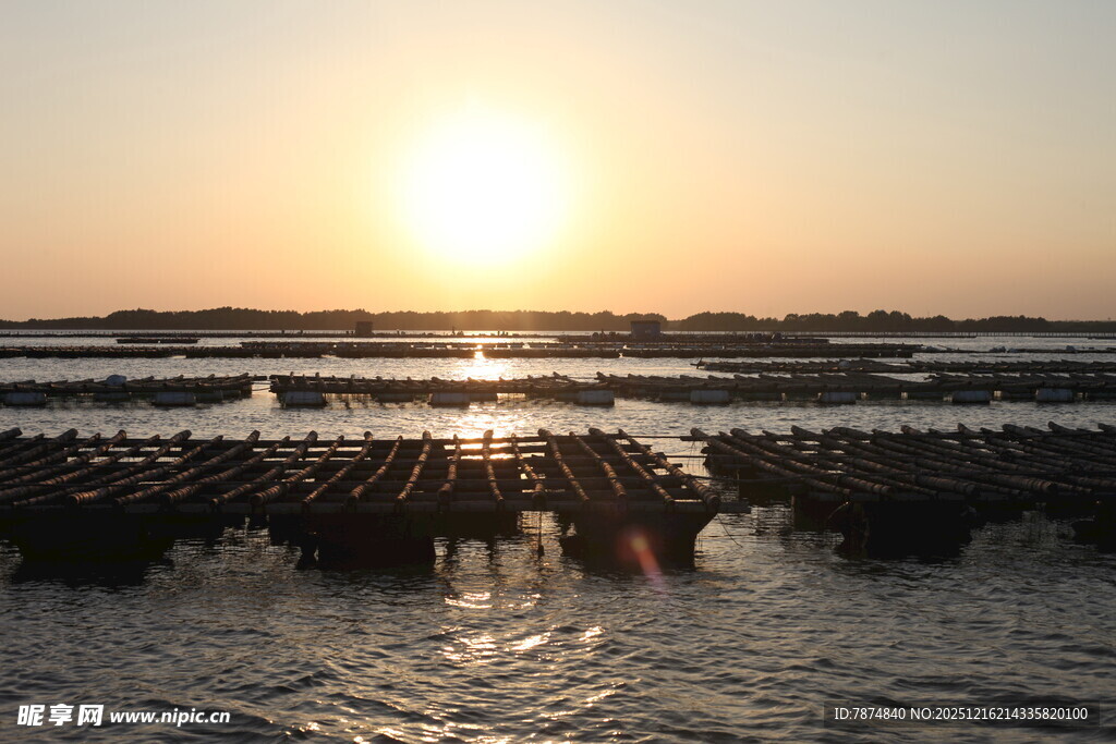 夕阳下的海上养殖场景