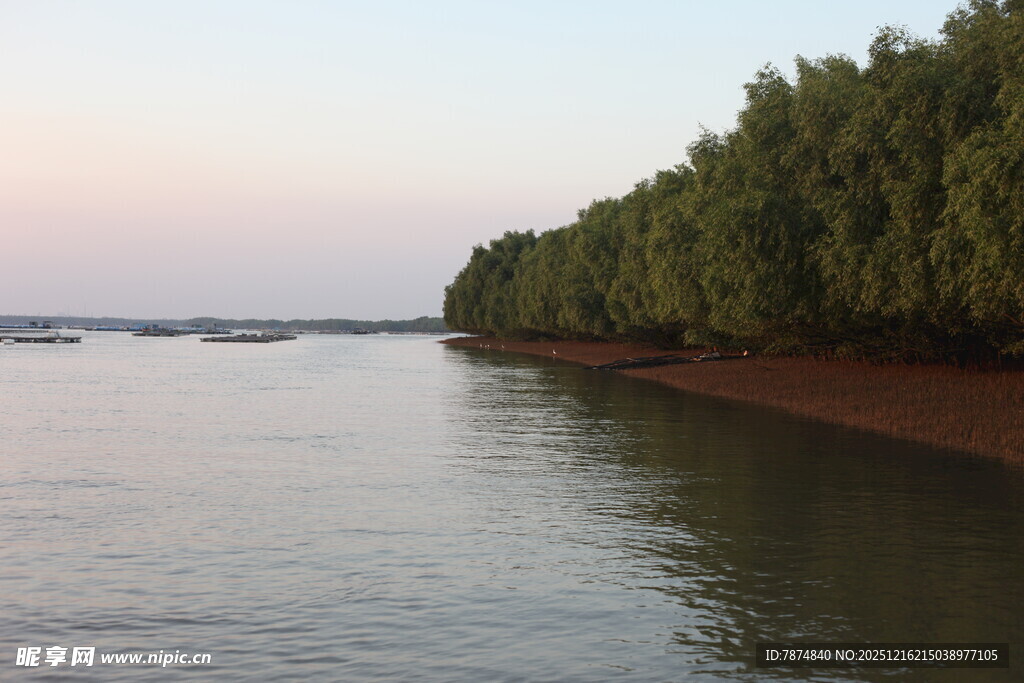 河畔绿树成荫的宁静风光