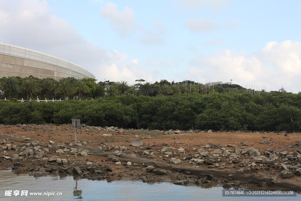 水边树林与远处建筑景观