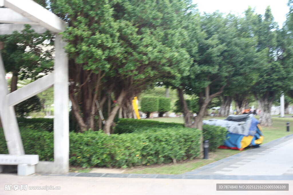 公园内的清洁车与绿植景观