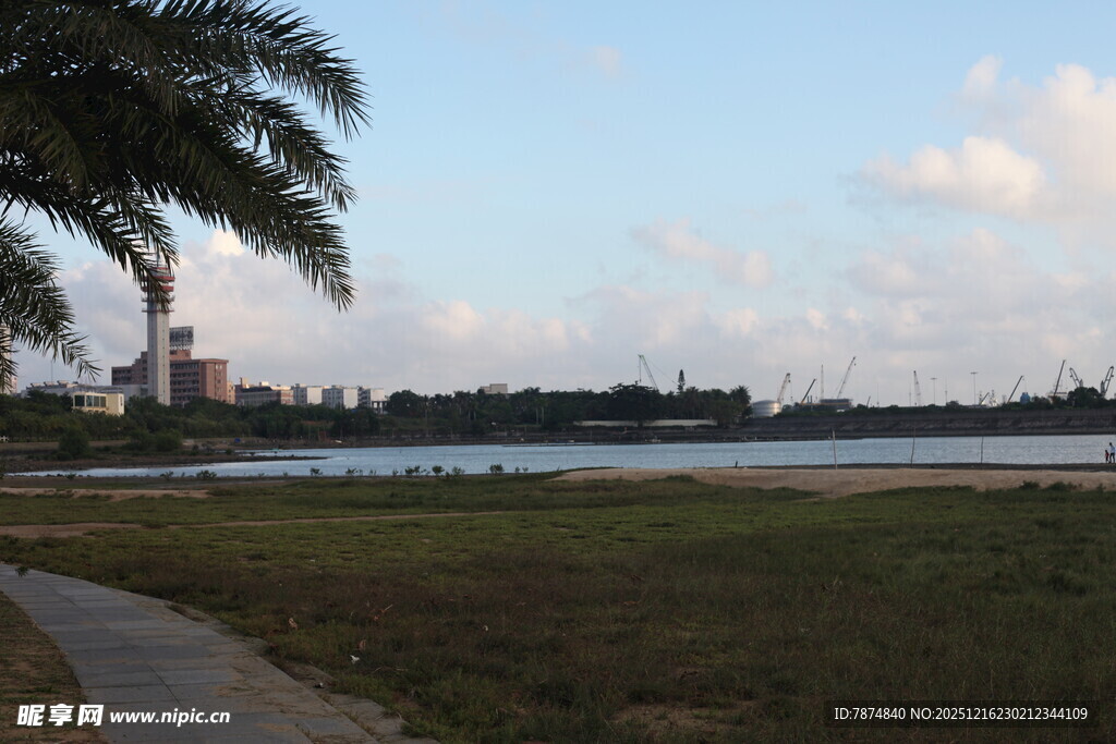 湖畔风光棕榈相伴的美景