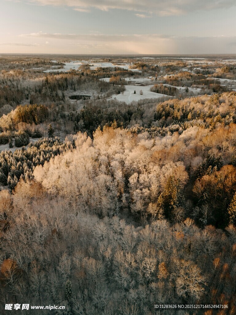 秋日森林航拍美景