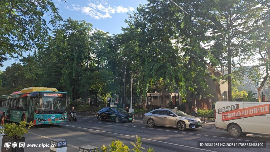 城市街道车辆行人景象