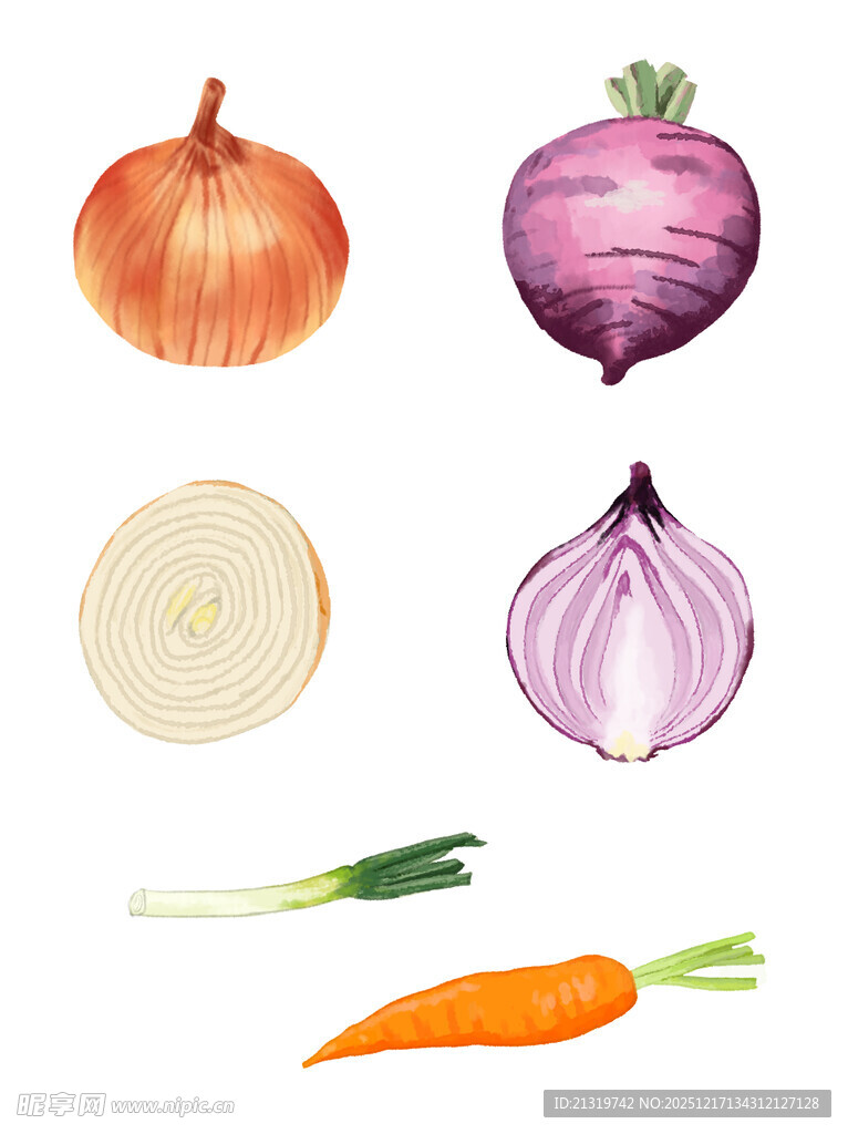 洋葱素材