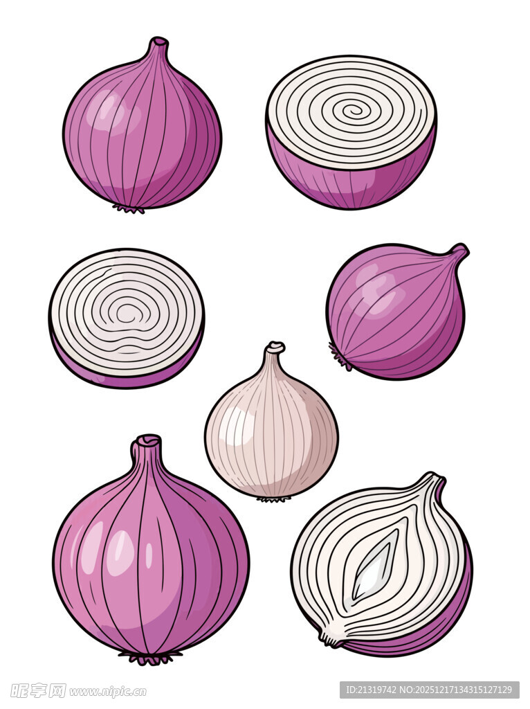 洋葱素材