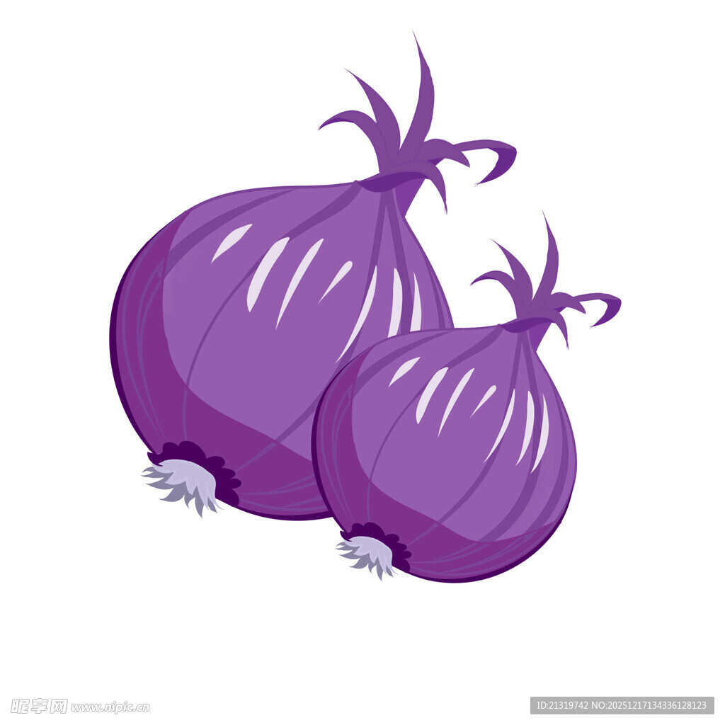 洋葱素材