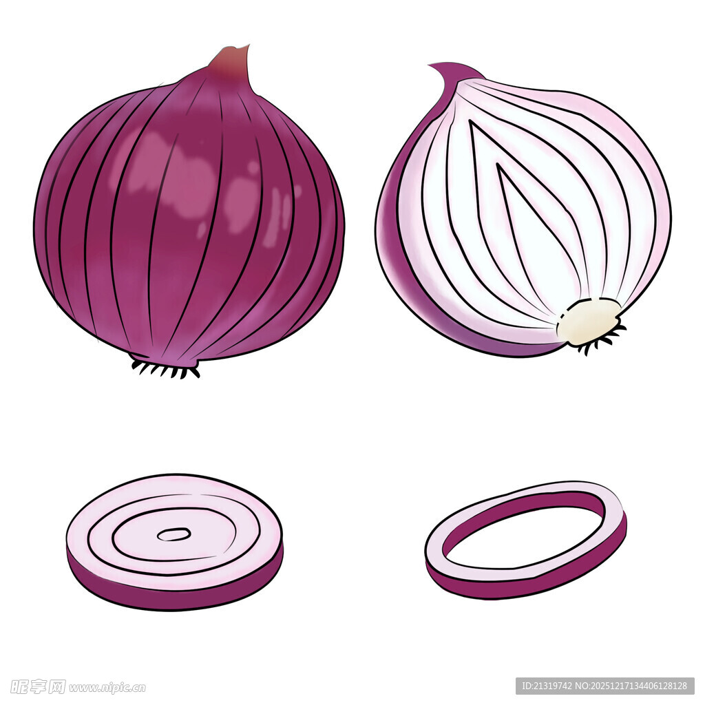 洋葱插画