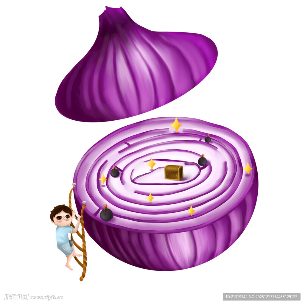 洋葱插画