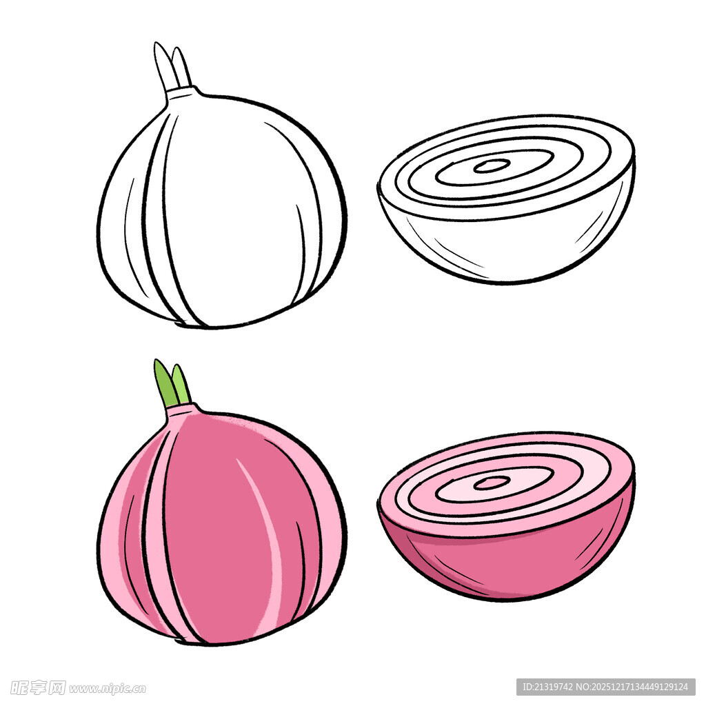洋葱插画